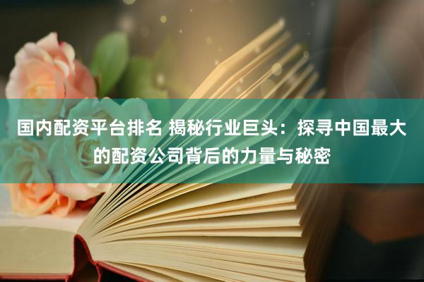国内配资平台排名 揭秘行业巨头：探寻中国最大的配资公司背后的力量与秘密