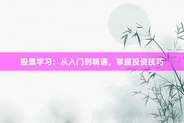 股票学习：从入门到精通，掌握投资技巧