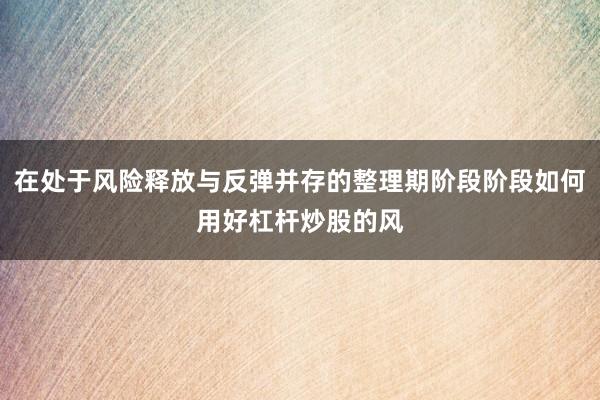 在处于风险释放与反弹并存的整理期阶段阶段如何用好杠杆炒股的风