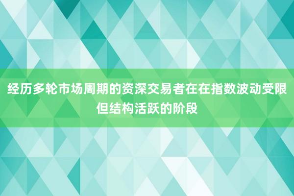 经历多轮市场周期的资深交易者在在指数波动受限但结构活跃的阶段
