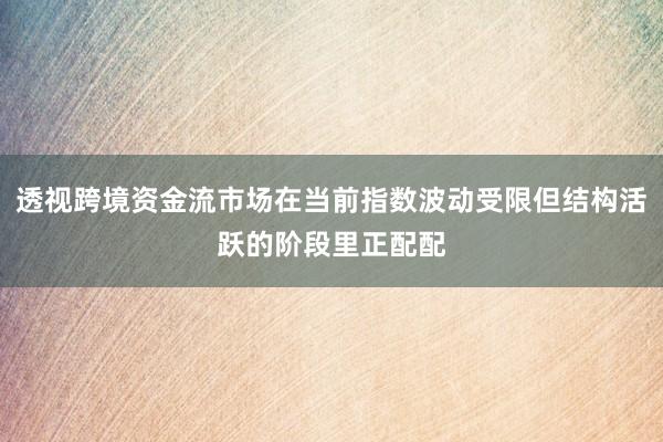 透视跨境资金流市场在当前指数波动受限但结构活跃的阶段里正配配