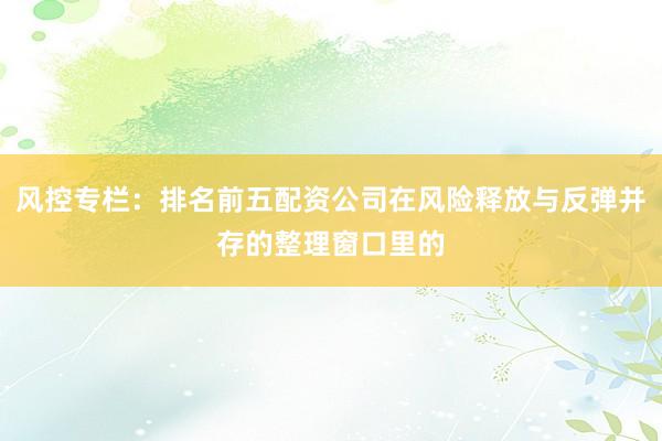 风控专栏：排名前五配资公司在风险释放与反弹并存的整理窗口里的