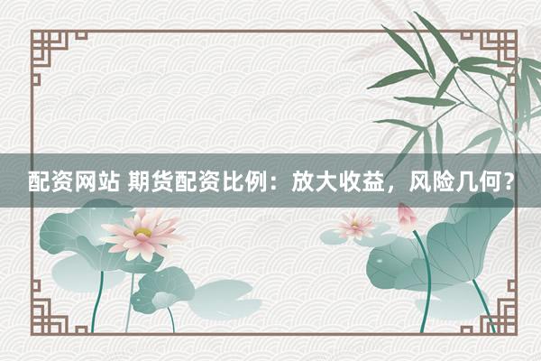 配资网站 期货配资比例：放大收益，风险几何？