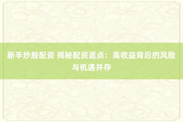 新手炒股配资 揭秘配资返点：高收益背后的风险与机遇并存